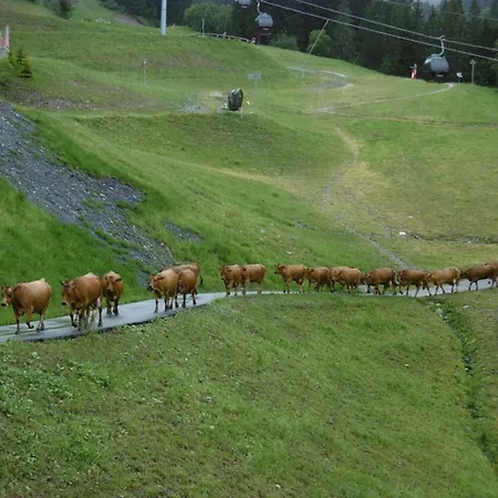 Lejlighed Pierrafort G - Pierrafort 48 Mae-6591 Valmorel